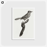 1-75_Des-Oiseaux-de-Paradis_hagaki