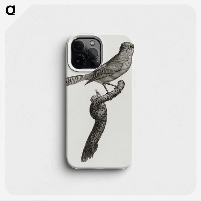 1-75_Des-Oiseaux-de-Paradis_phone