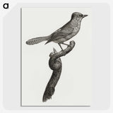 1-75_Des-Oiseaux-de-Paradis_picture-crop
