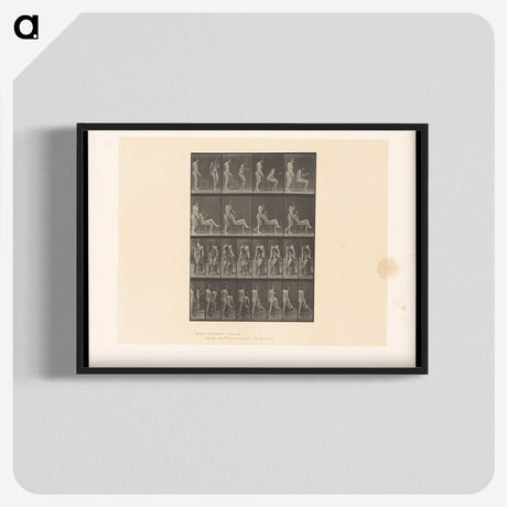 1-75_Eadweard-Muybridge_blk-crop