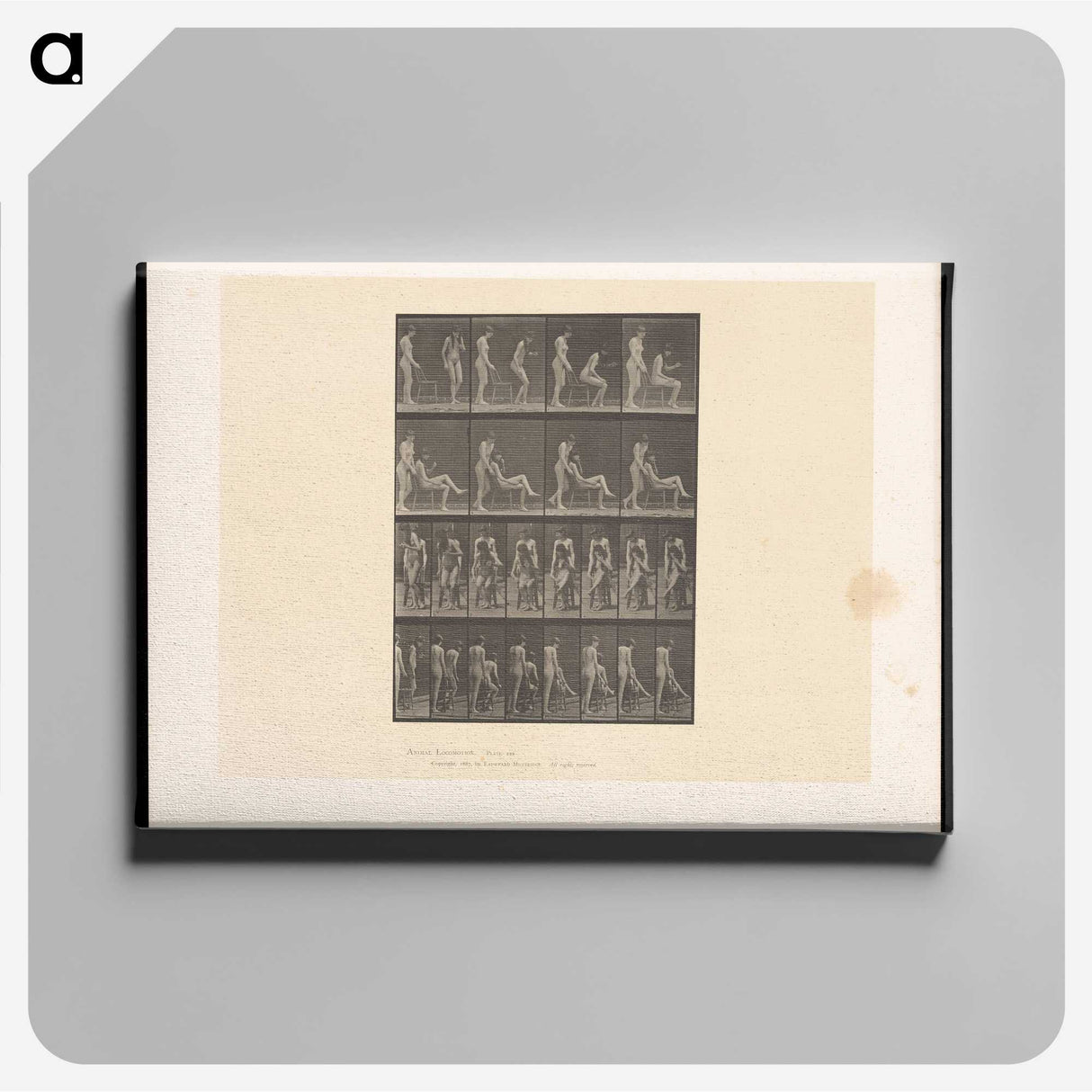 1-75_Eadweard-Muybridge_canvas