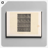 1-75_Eadweard-Muybridge_canvas