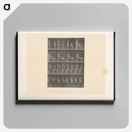 1-75_Eadweard-Muybridge_canvas