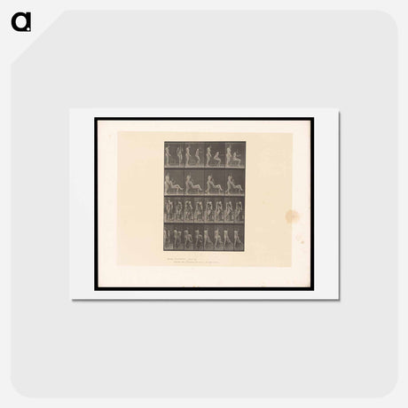 アートポストカード-Naked Women in Repose
 - エドワード マイブリッジ Postcard.