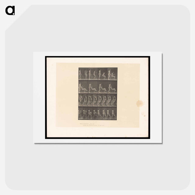 アートポストカード-Naked Women in Repose
 - エドワード マイブリッジ Postcard.