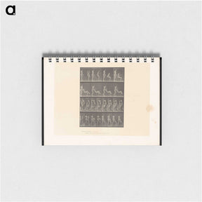 1-75_Eadweard-Muybridge_memo