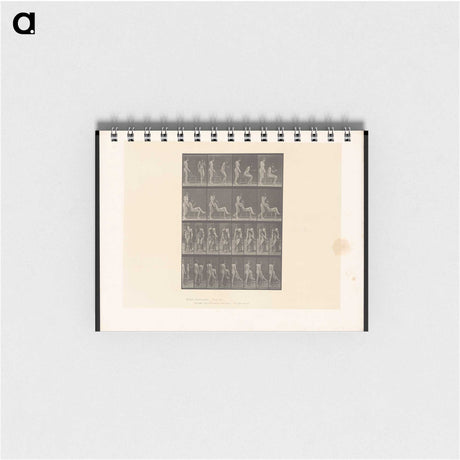 1-75_Eadweard-Muybridge_memo
