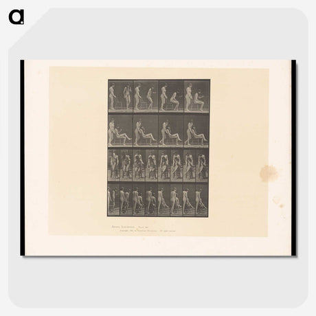 1-75_Eadweard-Muybridge_picture-crop