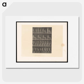 1-75_Eadweard-Muybridge_picture