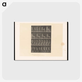 1-75_Eadweard-Muybridge_postcard