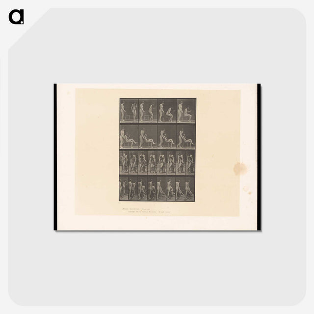 1-75_Eadweard-Muybridge_postcard