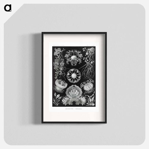 Ascomycetes–Schlauchpilze - エルンスト ヘッケル Poster.