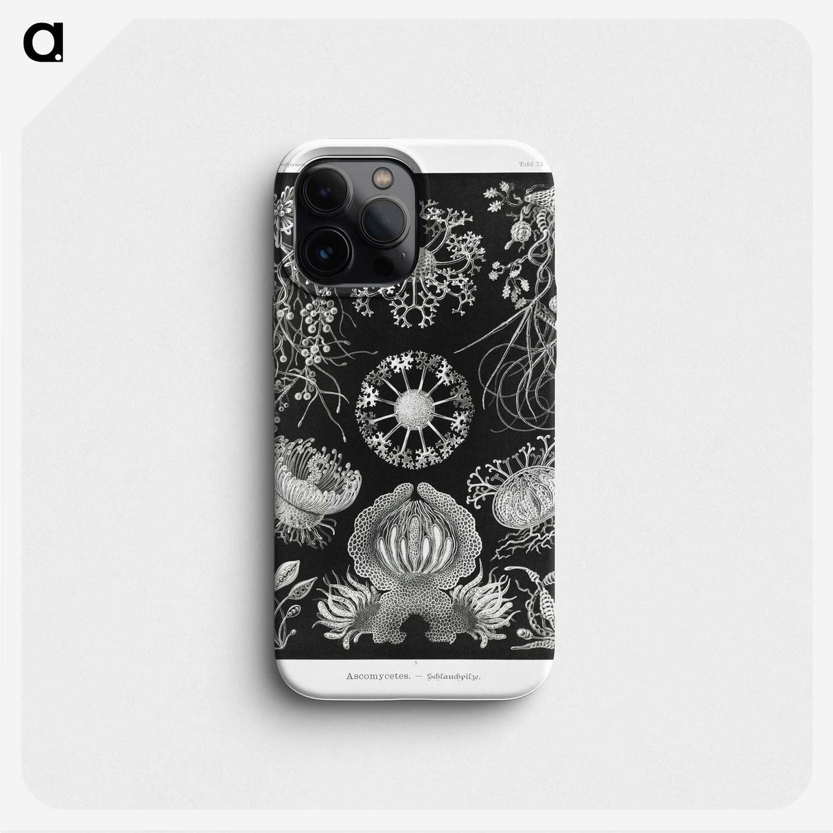 1-75_Ernst-Haeckel_phone