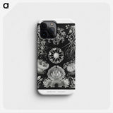1-75_Ernst-Haeckel_phone