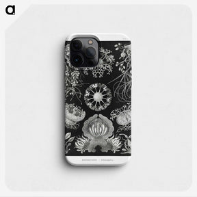 1-75_Ernst-Haeckel_phone