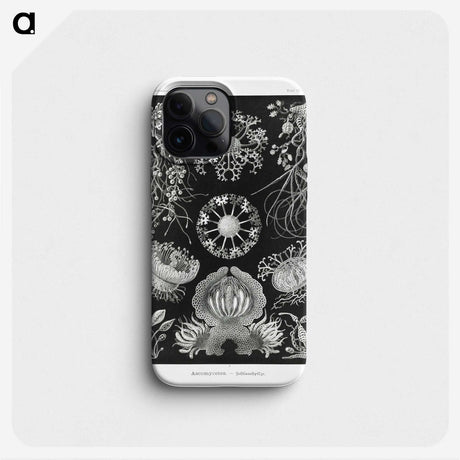 1-75_Ernst-Haeckel_phone