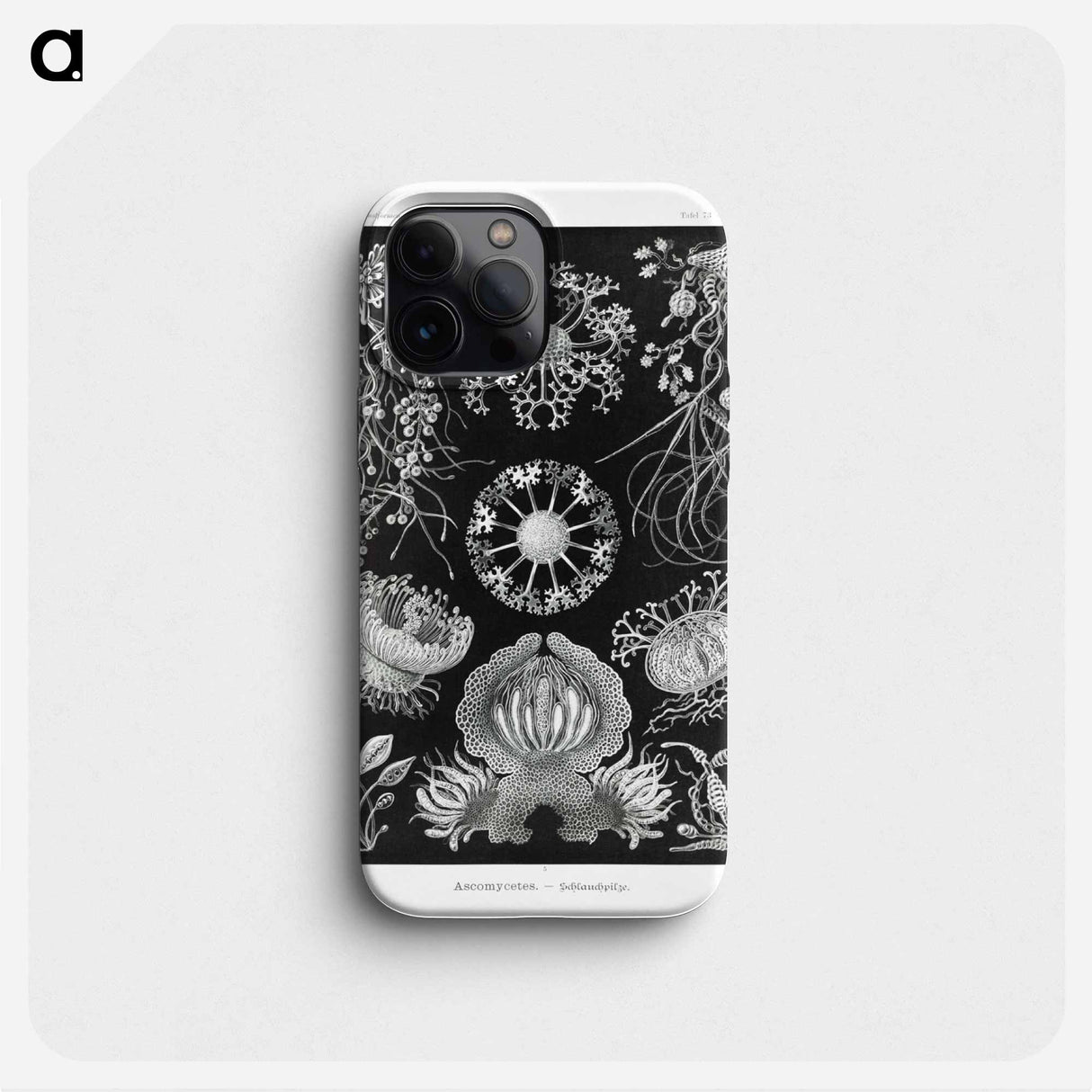 Ascomycetes–Schlauchpilze - エルンスト ヘッケル Phone Case.