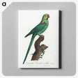 1-75_Francois-Levaillant_canvas