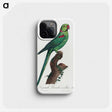 1-75_Francois-Levaillant_phone