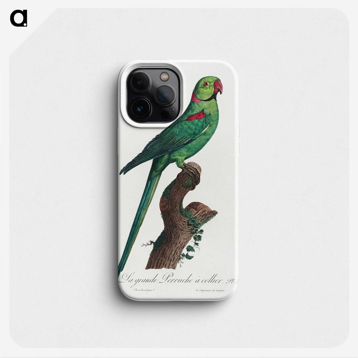 1-75_Francois-Levaillant_phone