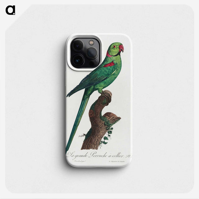 1-75_Francois-Levaillant_phone