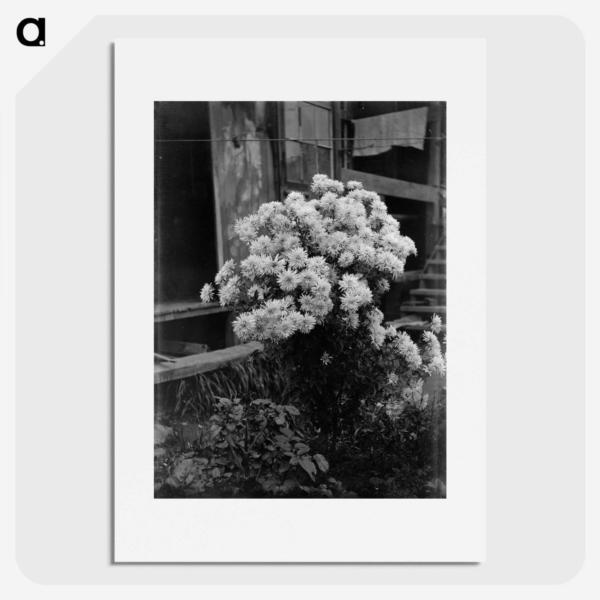 1-75_Frederick-Charles-Brockett_picture