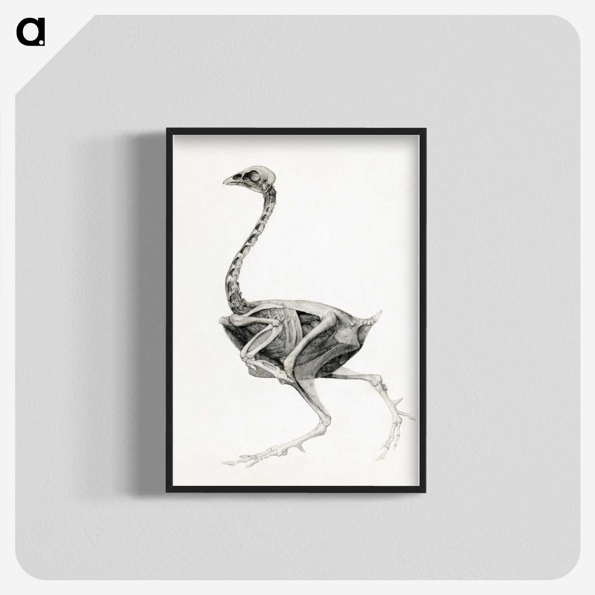1-75_George-Stubbs_blk-crop