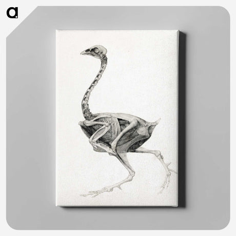 1-75_George-Stubbs_canvas