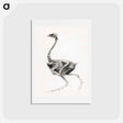 アートポストカード-Fowl Body, Lateral View
 - ジョージ スタッブス Postcard.