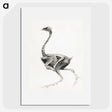 1-75_George-Stubbs_picture