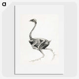 1-75_George-Stubbs_picture