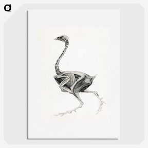 1-75_George-Stubbs_picture