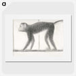 1-75_Georges-Seurat_picture