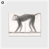 アートポストカード-Monkey - ジョルジュ スーラ Postcard.