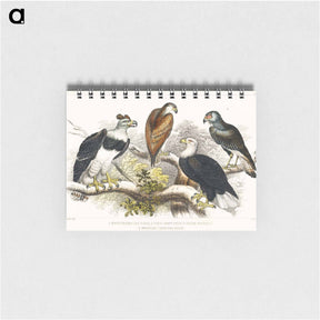アートメモ帳-Eagles of Earth and Nature
 - ゴールドスミスの生き生きとした自然 Memo.