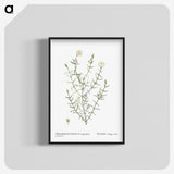 1-75_Histoire-des-Plantes-Grasses_blk-crop