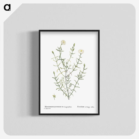 1-75_Histoire-des-Plantes-Grasses_blk-crop