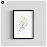 1-75_Histoire-des-Plantes-Grasses_blk
