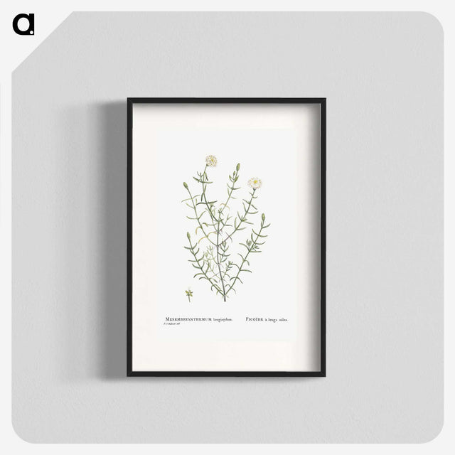 1-75_Histoire-des-Plantes-Grasses_blk