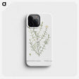 1-75_Histoire-des-Plantes-Grasses_phone