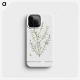1-75_Histoire-des-Plantes-Grasses_phone