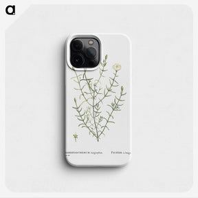 1-75_Histoire-des-Plantes-Grasses_phone