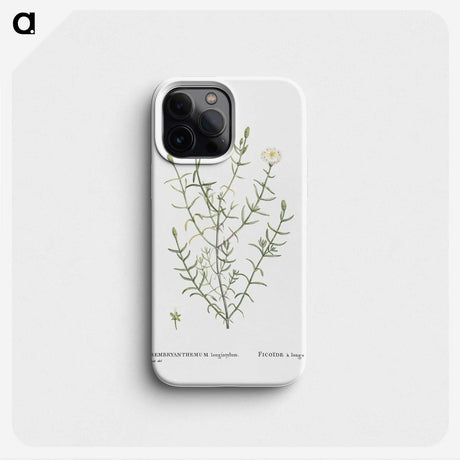 1-75_Histoire-des-Plantes-Grasses_phone