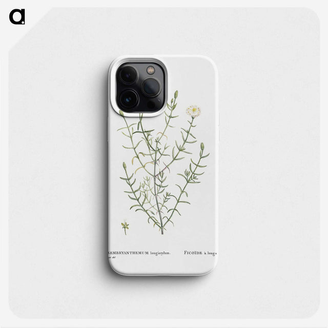 1-75_Histoire-des-Plantes-Grasses_phone