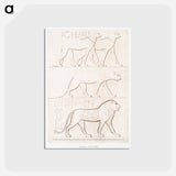アートポストカード-Feline
 - エジプト美術史 Postcard.
