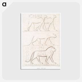 アートポストカード-Feline
 - エジプト美術史 Postcard.