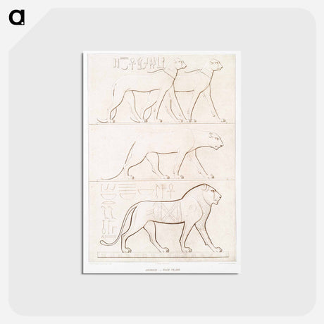 アートポストカード-Feline
 - エジプト美術史 Postcard.