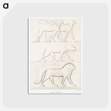 1-75_History-of-Egyptian-Art_postcard