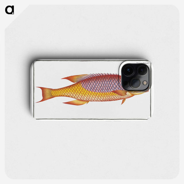 1-75_Ichtyologie-ou-Histoire-naturelle_phone