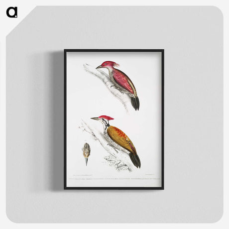 1-75_Indian-Zoology_blk-crop